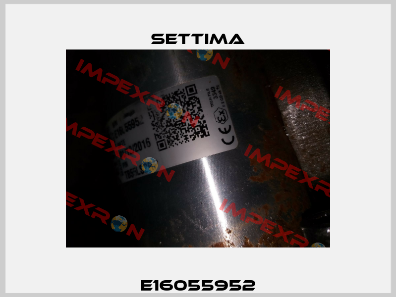E16055952 Settima