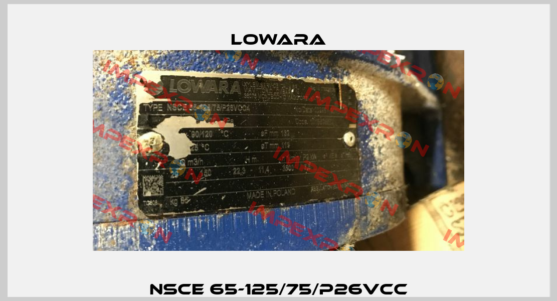 NSCE 65-125/75/P26VCC Lowara