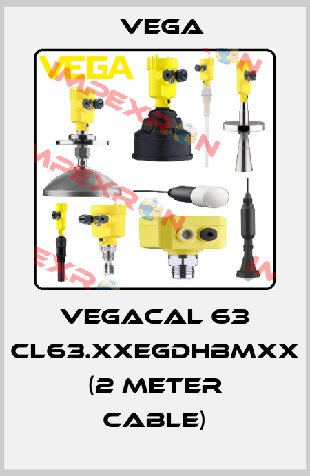VEGACAL 63 CL63.XXEGDHBMXX (2 meter cable) Vega