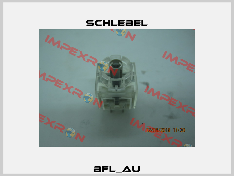 BFL_AU Schlebel