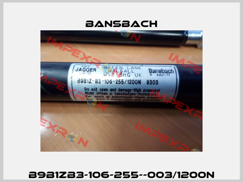 B9B1ZB3-106-255--003/1200N Bansbach