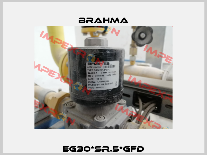 EG30*SR.5*GFD Brahma