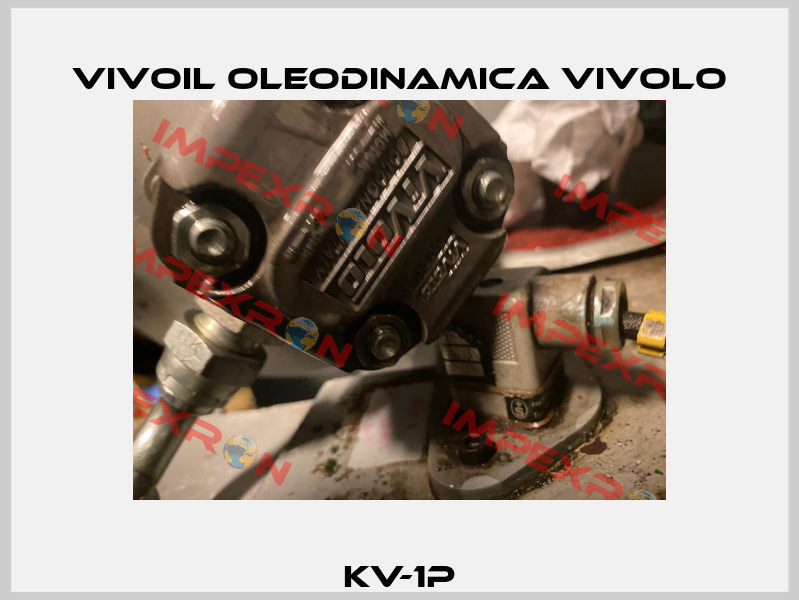 KV-1P Vivoil Oleodinamica Vivolo