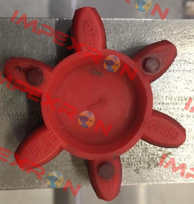 GS 19 (550191000002) Rotex
