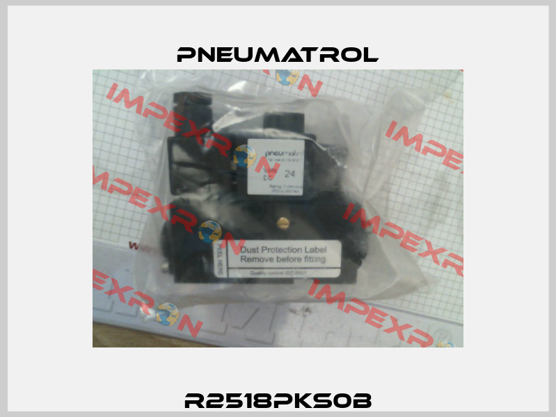 R2518PKS0B Pneumatrol
