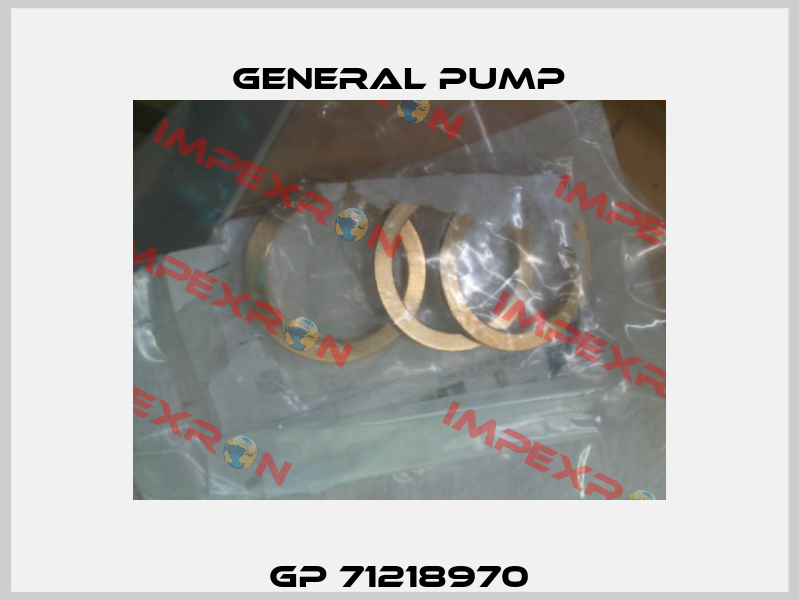 GP 71218970 General Pump