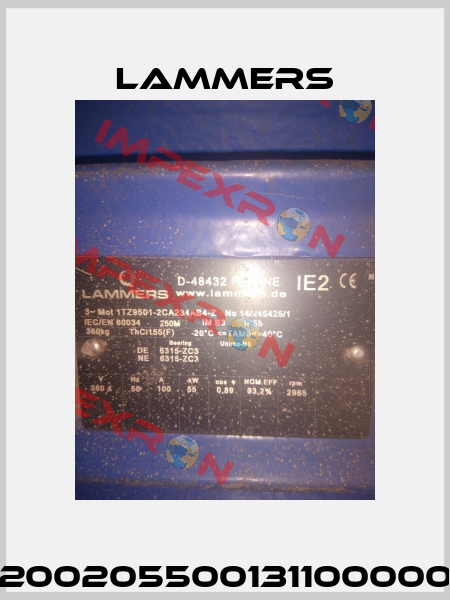 02002055001311000000 Lammers