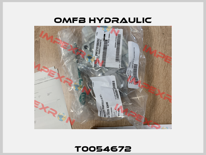 T0054672 OMFB Hydraulic