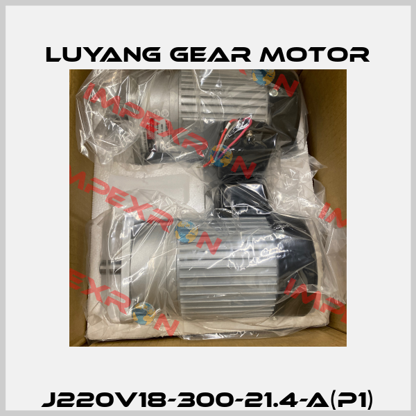 J220V18-300-21.4-A(P1) Luyang Gear Motor