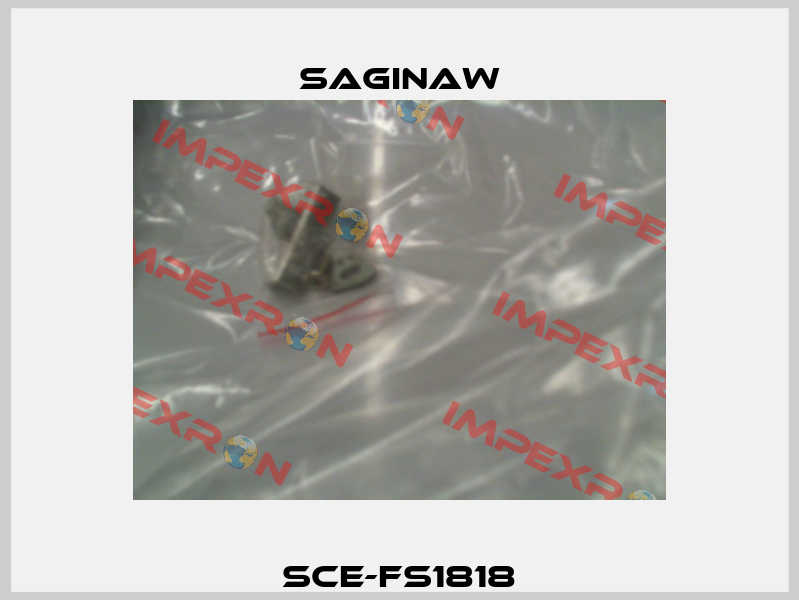 SCE-FS1818 Saginaw