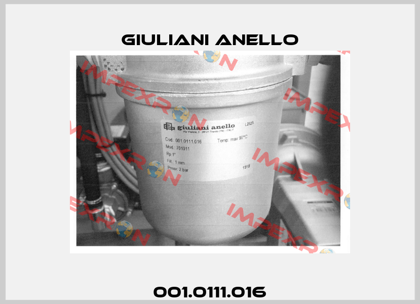 001.0111.016 Giuliani Anello