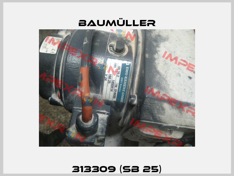 313309 (SB 25) Baumüller