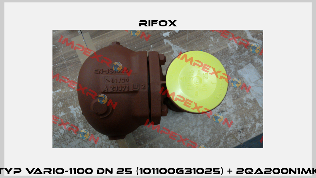 Typ VARIO-1100 DN 25 (101100G31025) + 2QA200N1MK Rifox