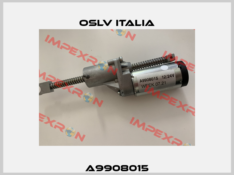 A9908015 OSLV Italia