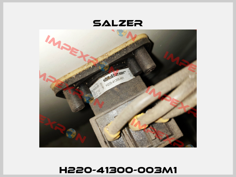 H220-41300-003M1 Salzer