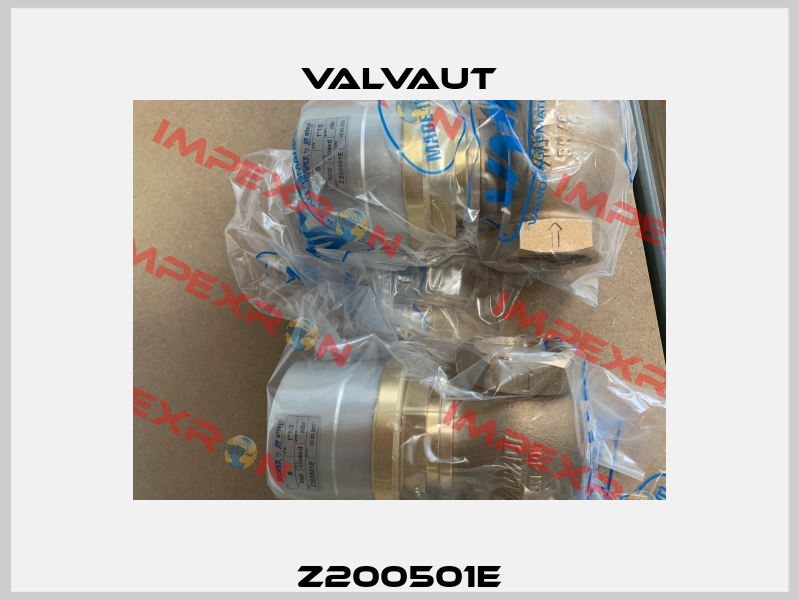 Z200501E Valvaut