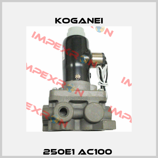 250E1 AC100  Koganei