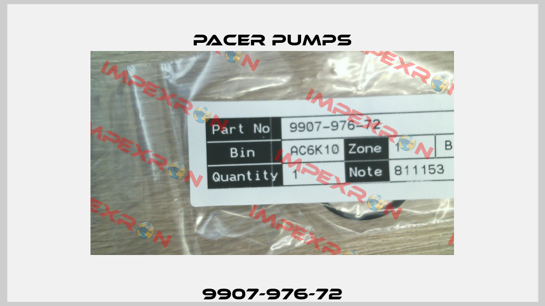 9907-976-72 Pacer Pumps