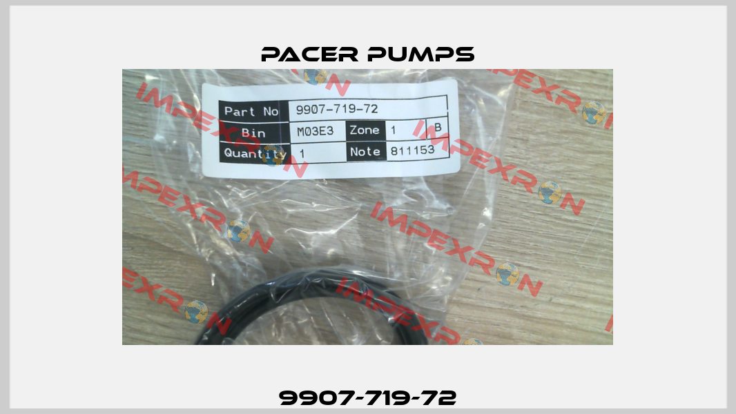 9907-719-72 Pacer Pumps