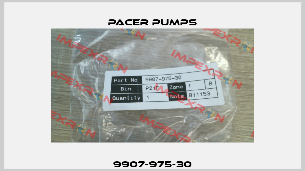 9907-975-30 Pacer Pumps