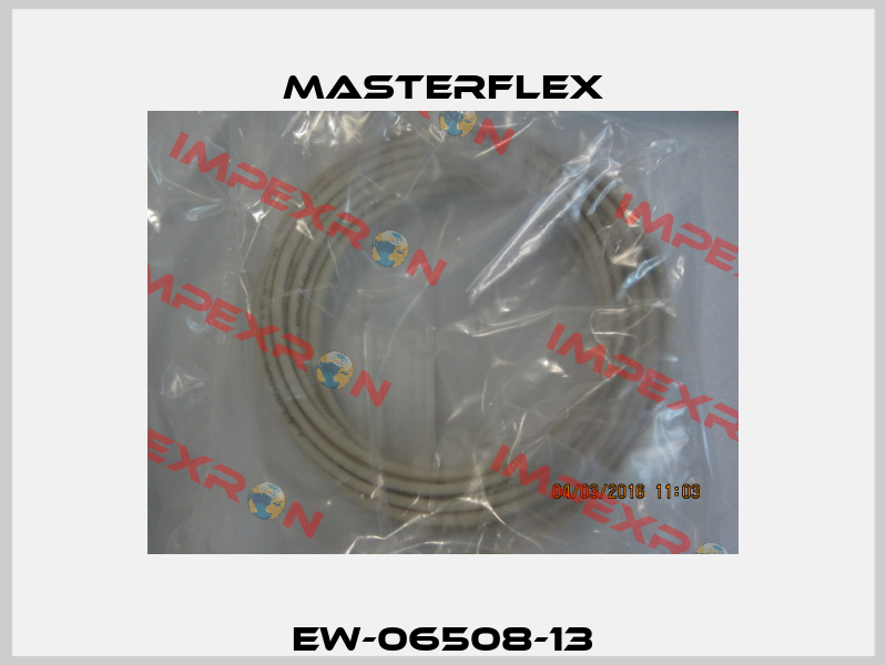 EW-06508-13 Masterflex