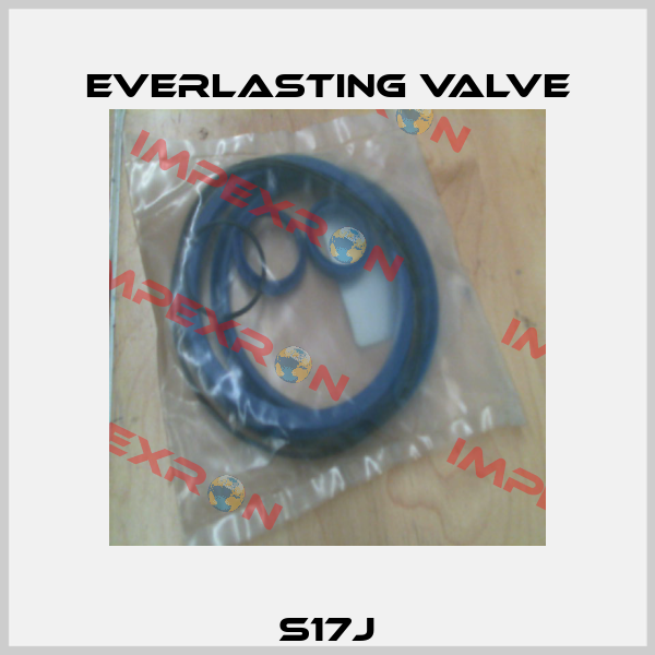 S17J Everlasting Valve