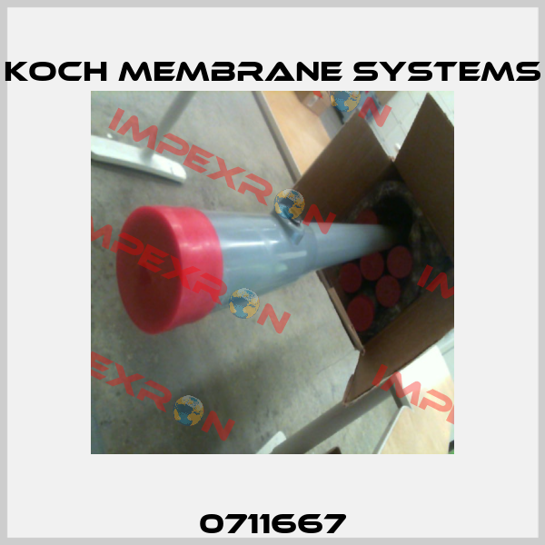 0711667 Koch Membrane Systems