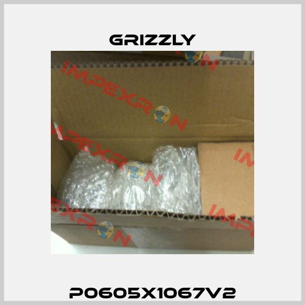 P0605X1067V2 Grizzly