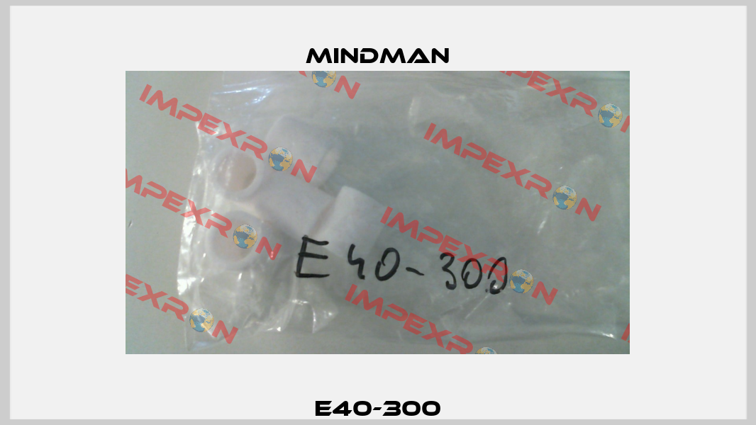E40-300 Mindman