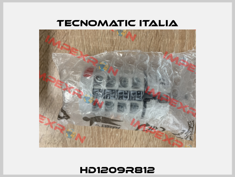 HD1209R812 Tecnomatic Italia