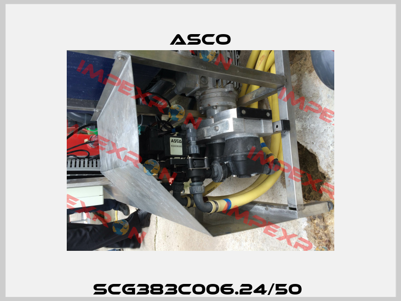 SCG383C006.24/50  Asco