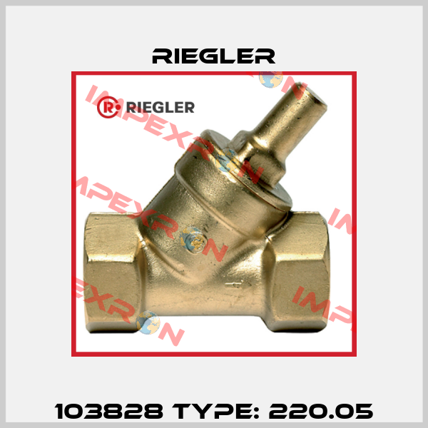 103828 Type: 220.05 Riegler