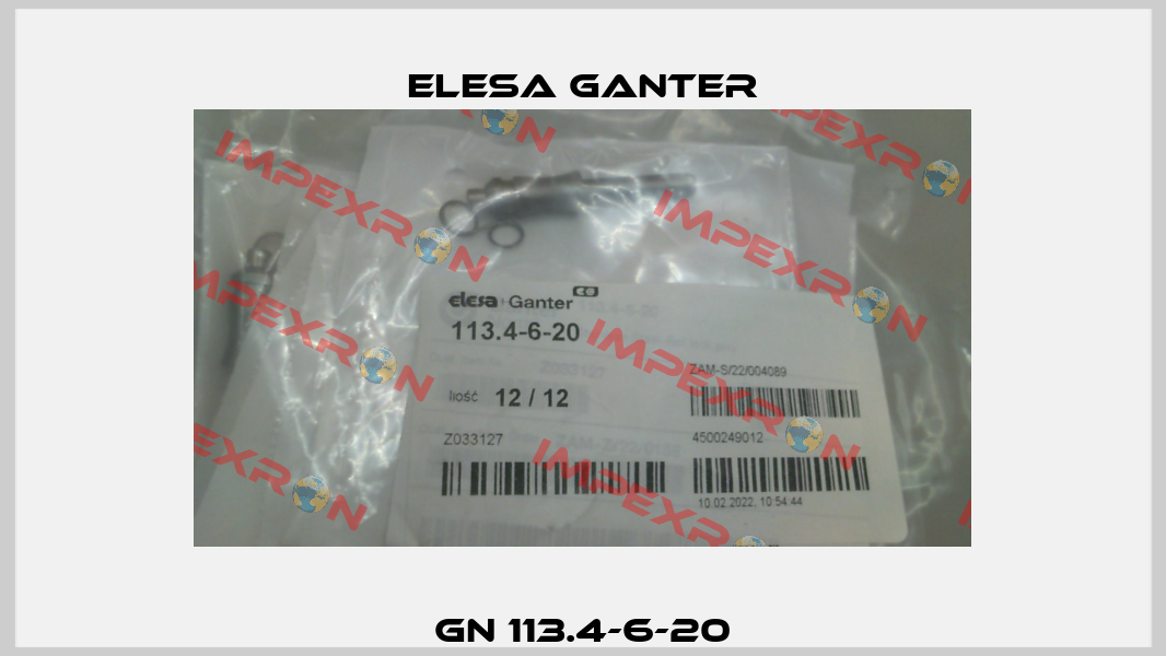 GN 113.4-6-20 Elesa Ganter