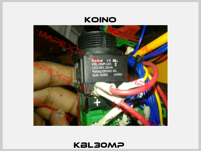 KBL30MP  Koino