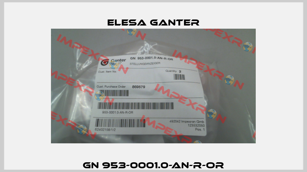 GN 953-0001.0-AN-R-OR Elesa Ganter