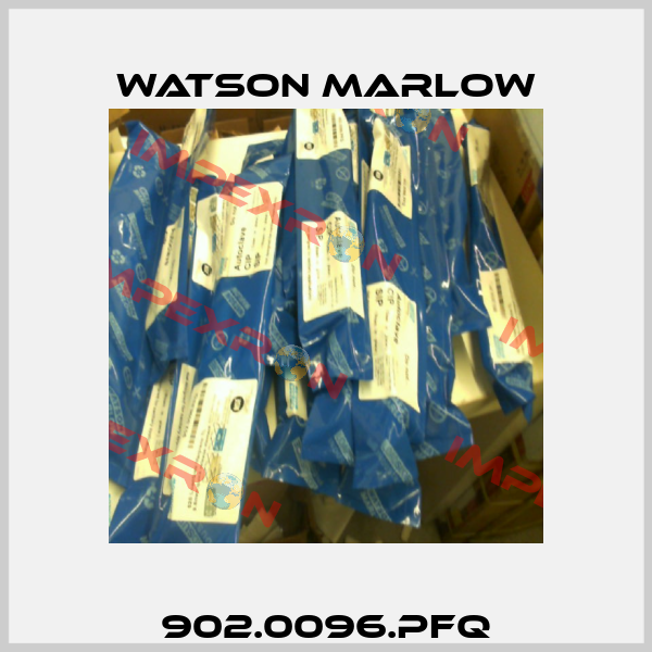 902.0096.PFQ Watson Marlow