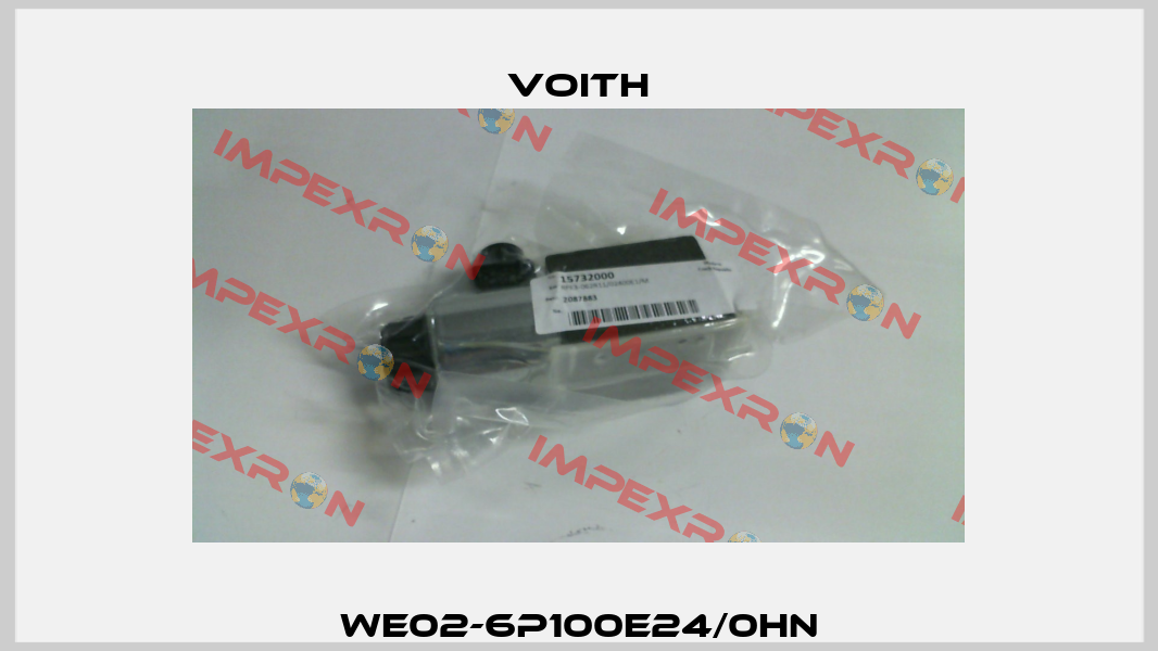 WE02-6P100E24/0HN Voith