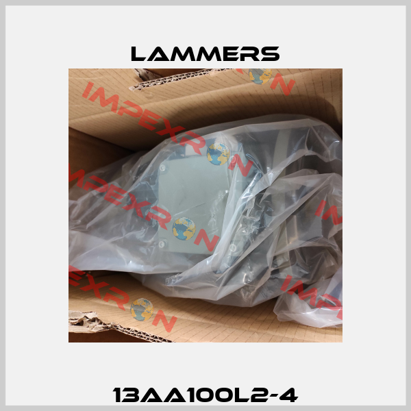 13AA100L2-4 Lammers