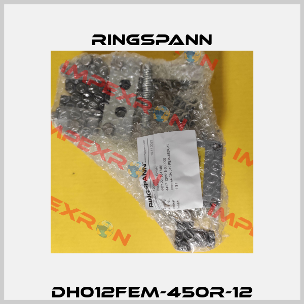DH012FEM-450R-12 Ringspann