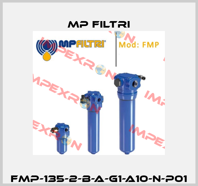 FMP-135-2-B-A-G1-A10-N-P01 MP Filtri