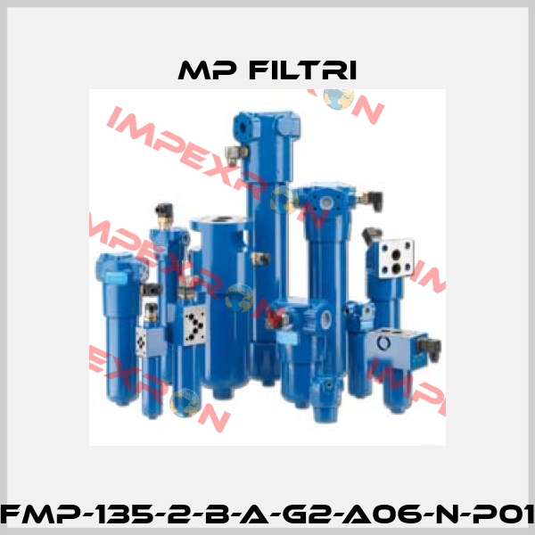 FMP-135-2-B-A-G2-A06-N-P01 MP Filtri