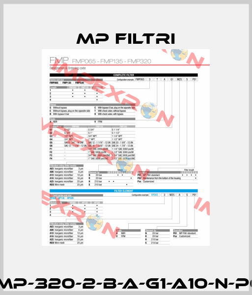 FMP-320-2-B-A-G1-A10-N-P01 MP Filtri
