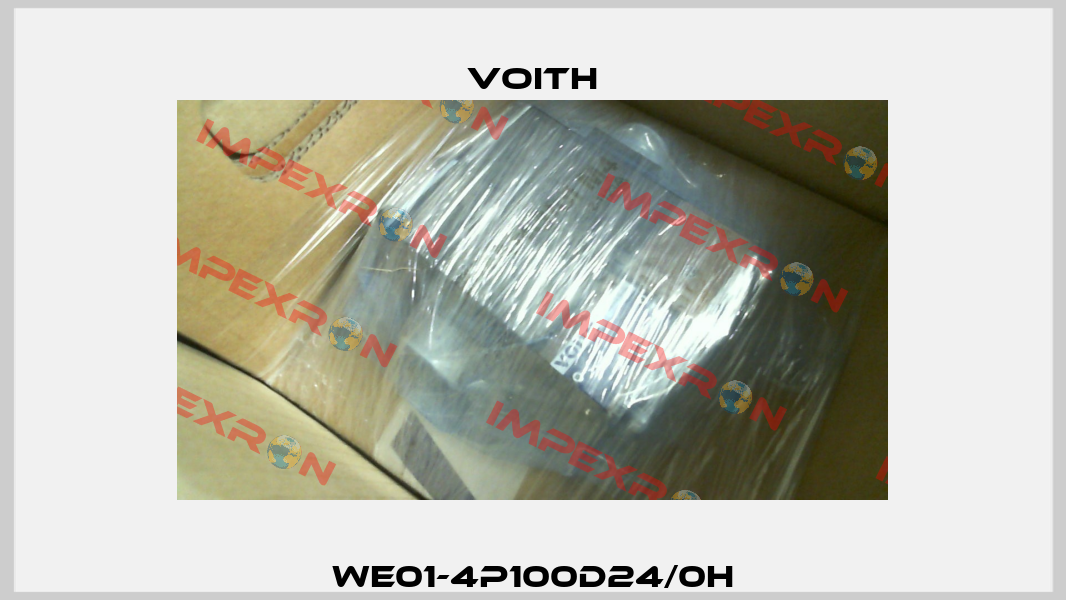 WE01-4P100D24/0H Voith