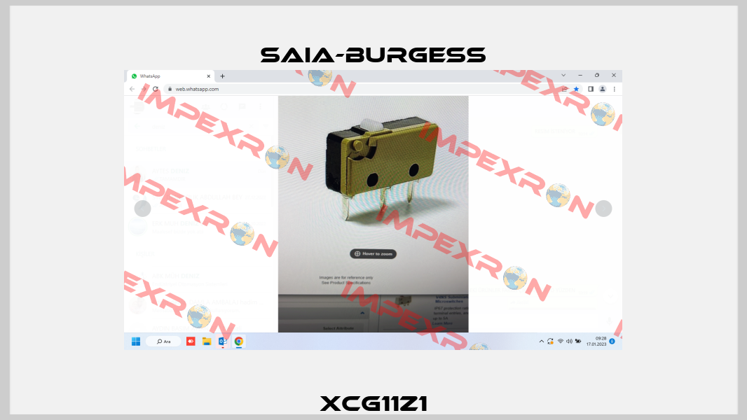 XCG11Z1 Saia-Burgess