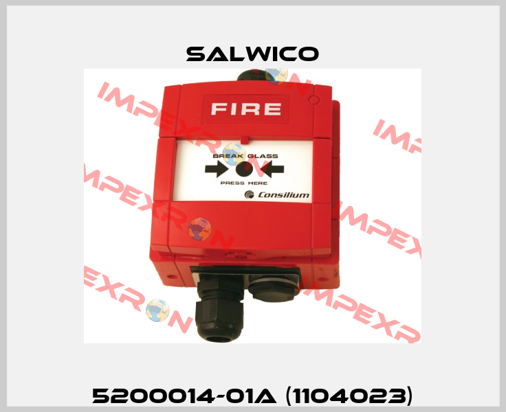 5200014-01A (1104023) Salwico