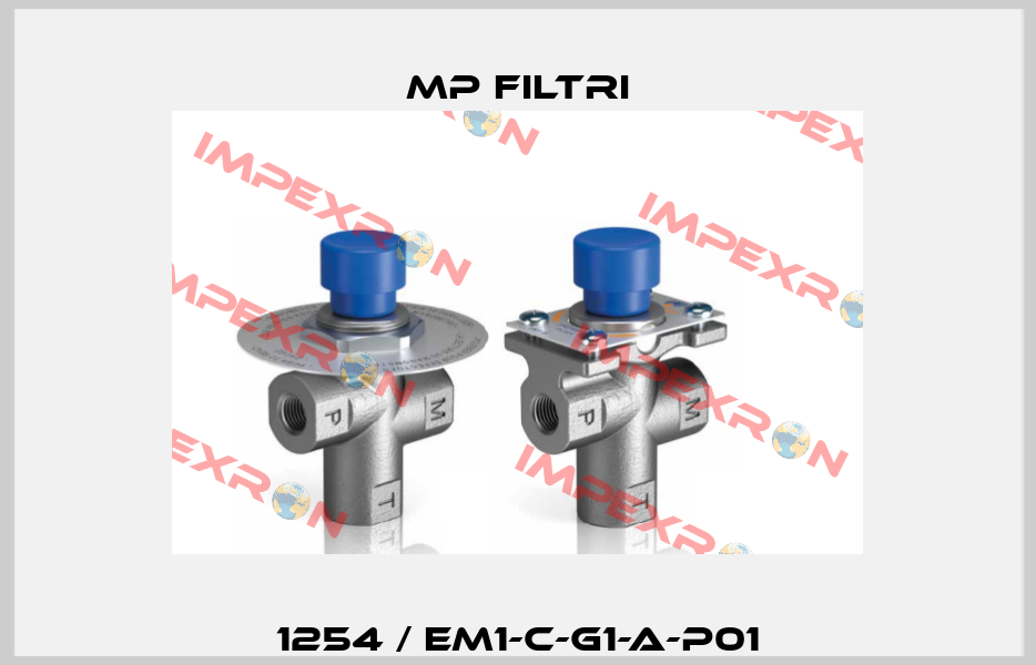 1254 / EM1-C-G1-A-P01 MP Filtri