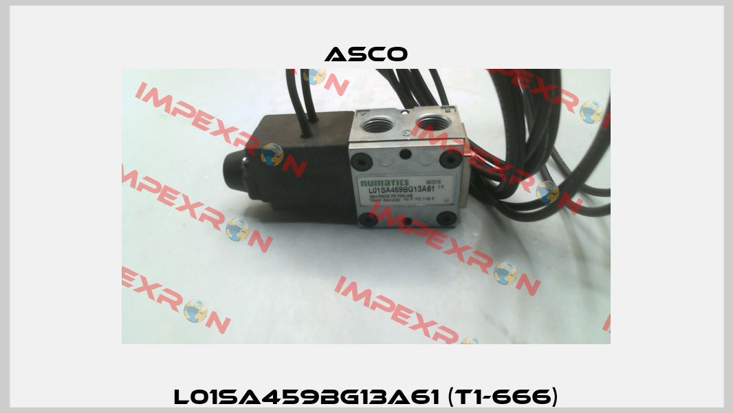 L01SA459BG13A61 (T1-666) Asco