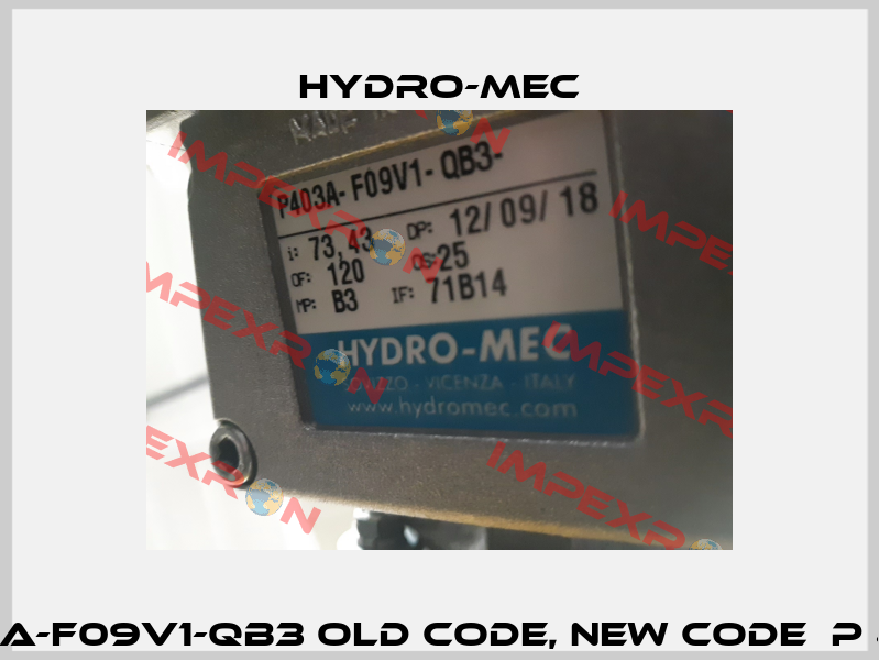 P403AA-F09V1-QB3 old code, new code  P 413A -F Hydro-Mec