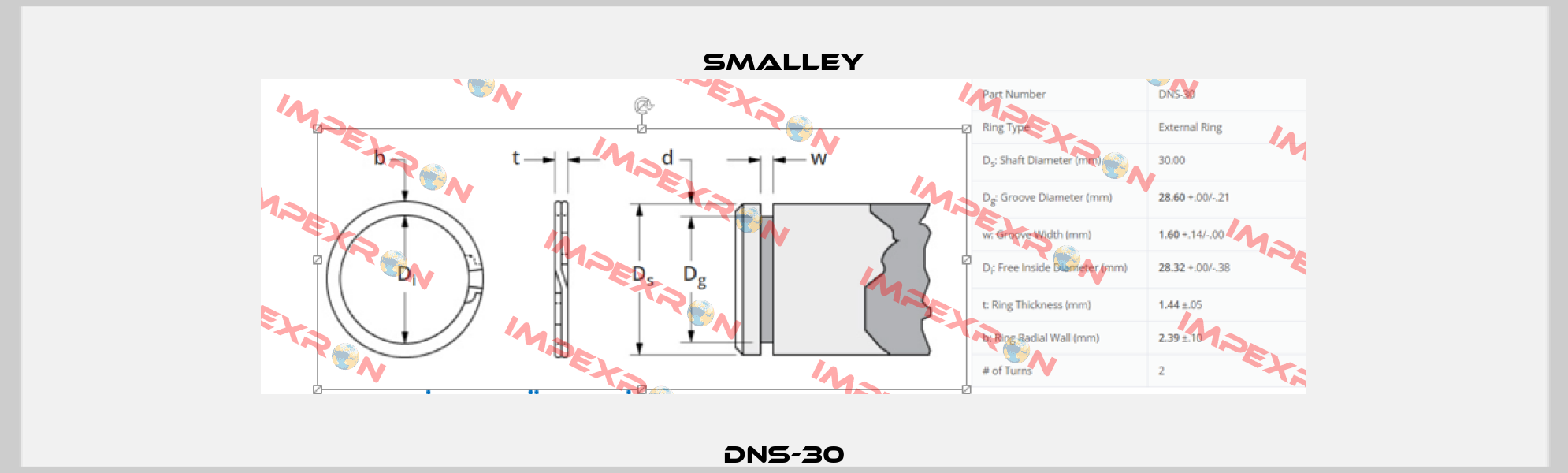 DNS-30 SMALLEY
