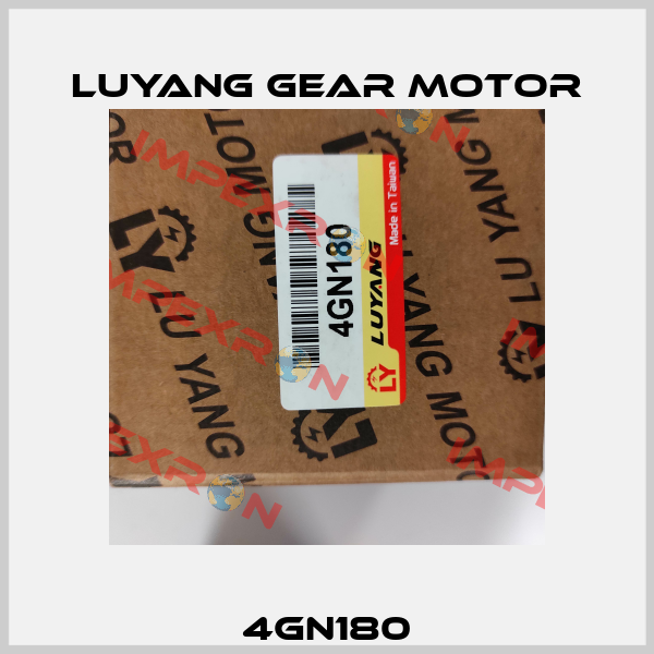 4GN180 Luyang Gear Motor